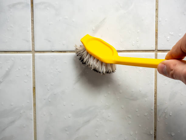 Best Mold Removal Near Me  in Singac, NJ