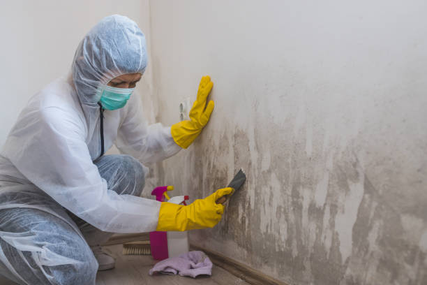 Best Crawl Space Mold Removal  in Singac, NJ