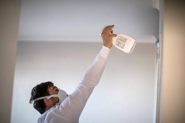 Best Home Mold Removal  in Singac, NJ