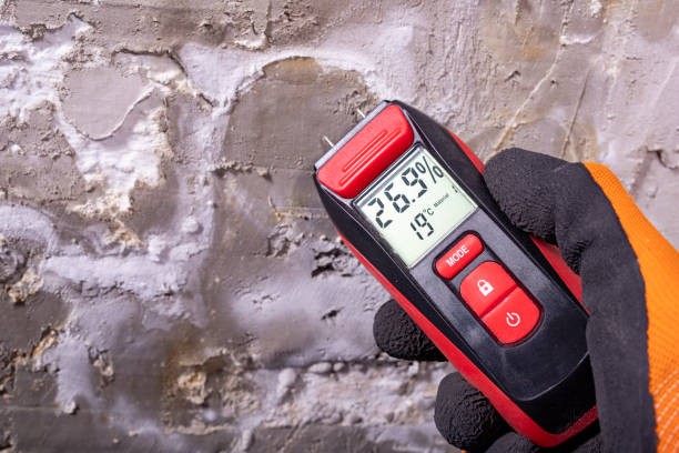 Best Mold Testing and Removal  in Singac, NJ