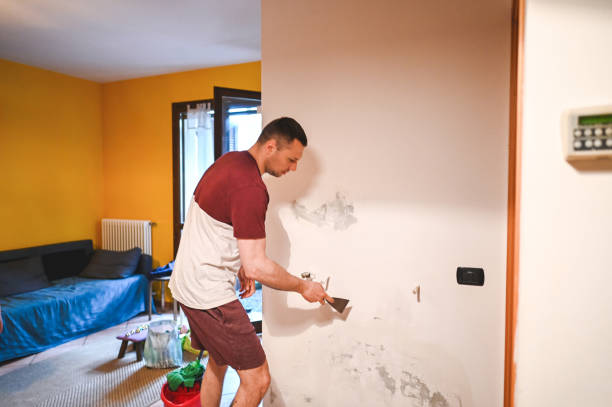 Best Best Mold Removal Companies  in Singac, NJ